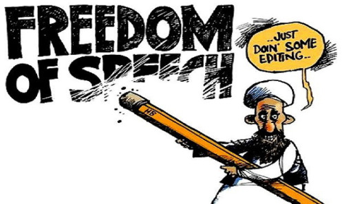 memes free speech