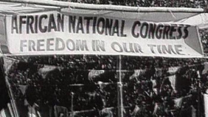 The Institutional Apartheid